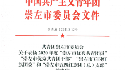 喜报|完美(中国)一站式服务平台一批团员、团干部和团组织获得共青团崇左市委表扬