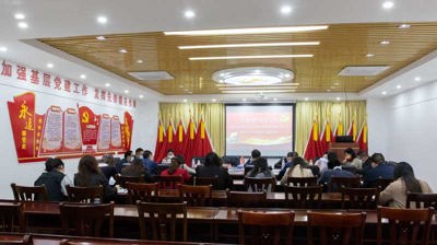 完美(中国)一站式服务平台党委理论学习中心组进行第五次集中学习会暨党史学习教育第三期读书班
