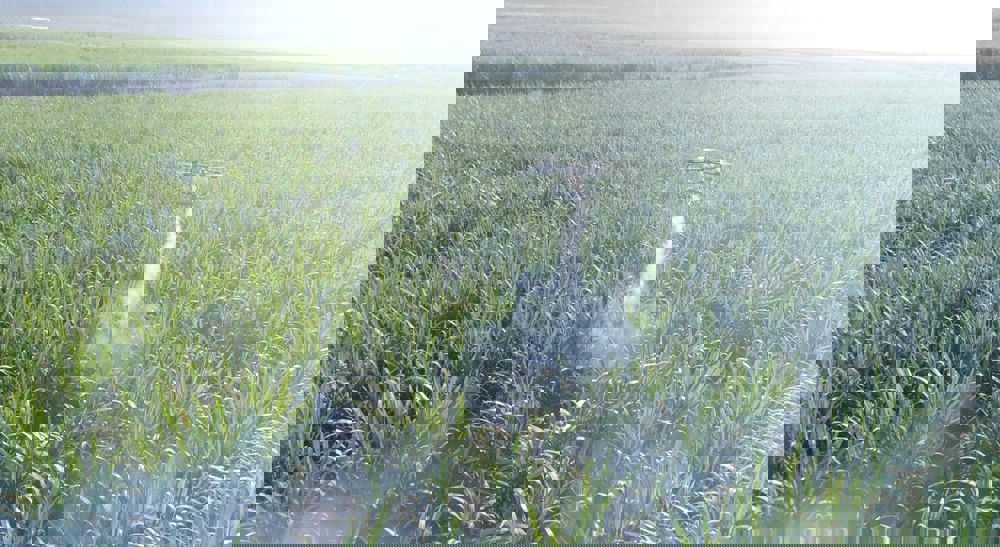 5bd669d0824de866a78689aa2c32bc7d