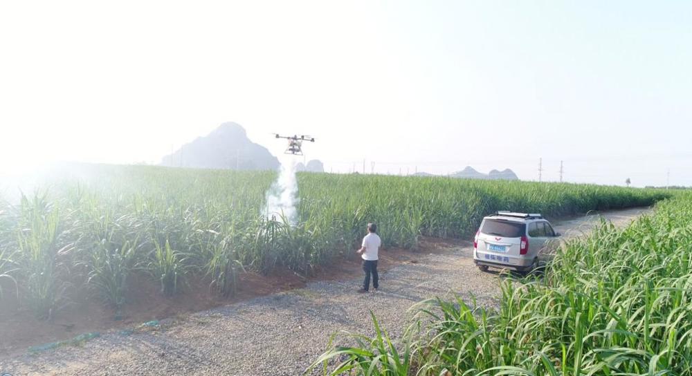 8df76816c551493f9f1902cf9e8dd988